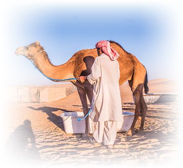desert farms camel milk tub