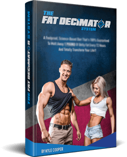 the-fat-decimator-system-review-book