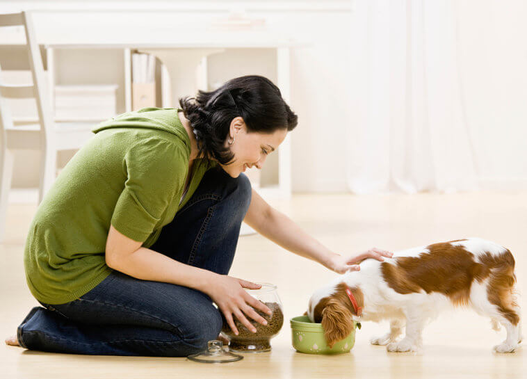 Best Dog Food woman feeding pet