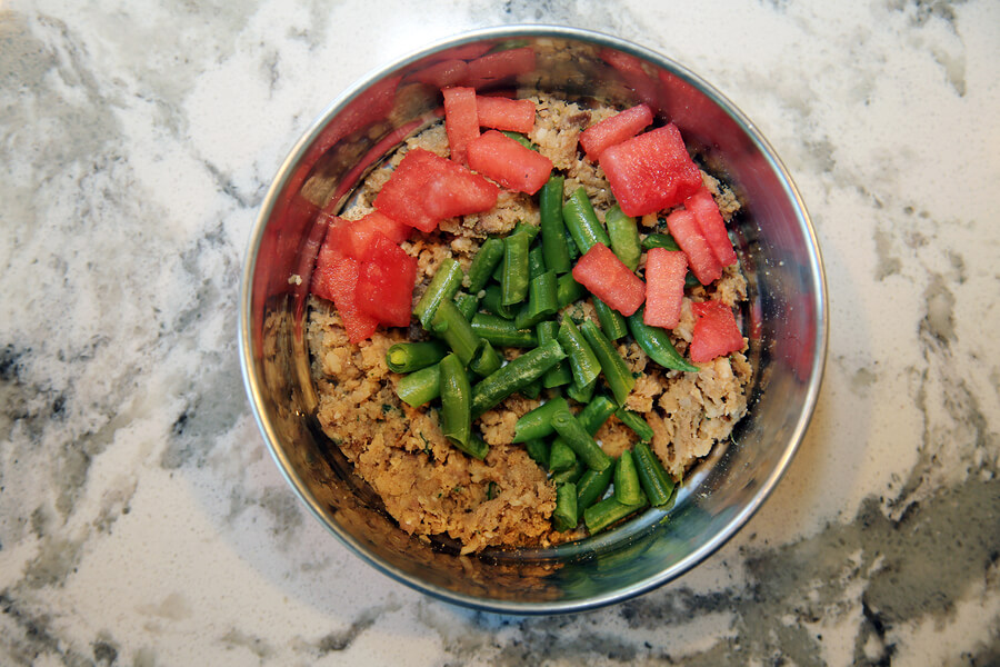 Best Dog-food-with-watermelon-green beans