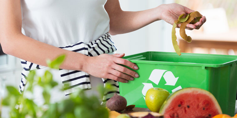 Food Wast compost bin