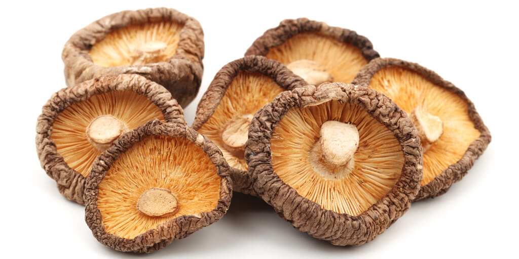 What Are Medicinal Mushrooms
