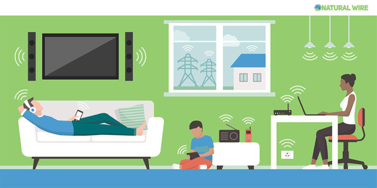 Electromagnetic Fields In The Home And Sources: People Living In