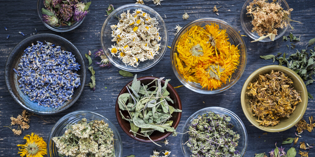 Healing Herbs You Should Know