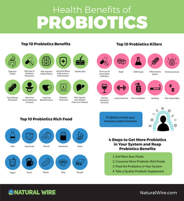 Probiotics-Infographic