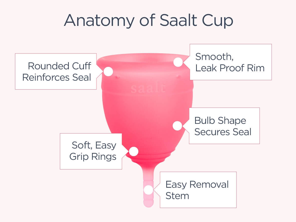 SAALT Cup Review - how does it work