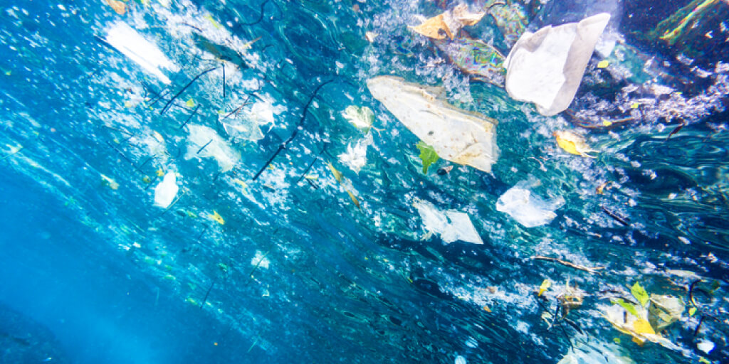 Top 10 Ways to Reduce Plastic Pollution