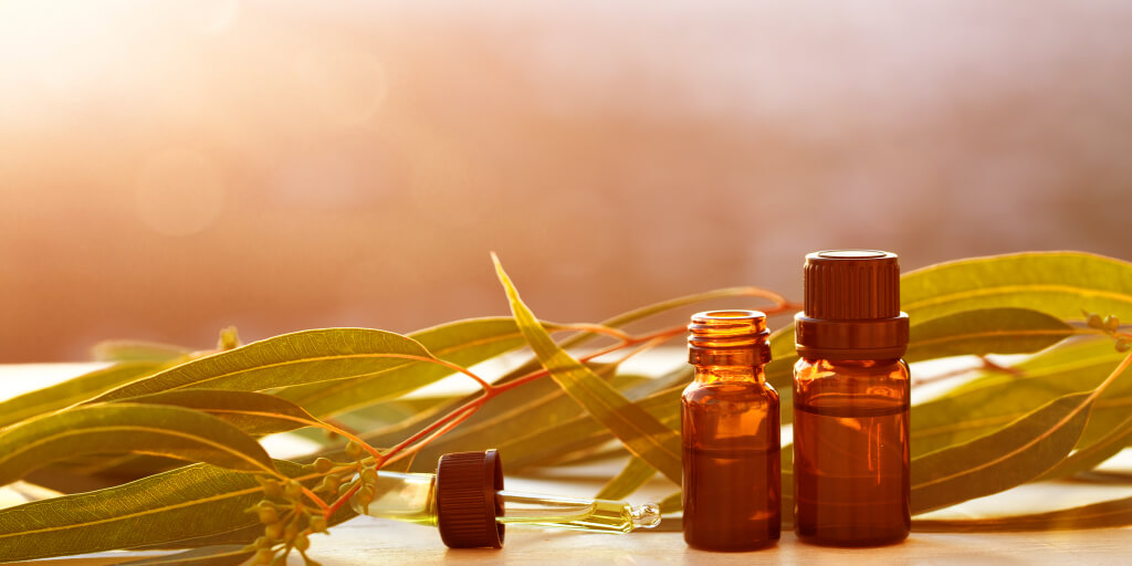 Top 7 Eucalyptus Oil Benefits and Uses_Top 7