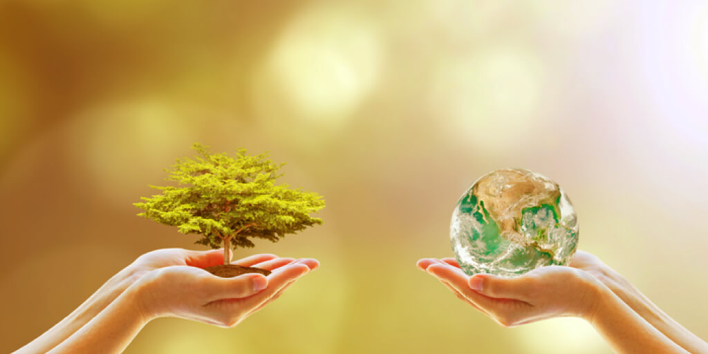 7 Instant Ways to Naturally Be More Environmentally Friendly_Shop Environmentally