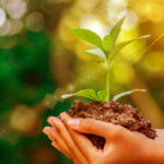 7 Instant Ways to Naturally Be More Environmentally Friendly_Title