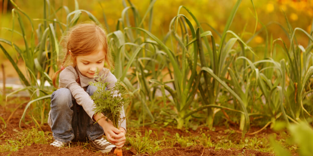 Health Benefits of a School Garden & How to Start One_Benefits
