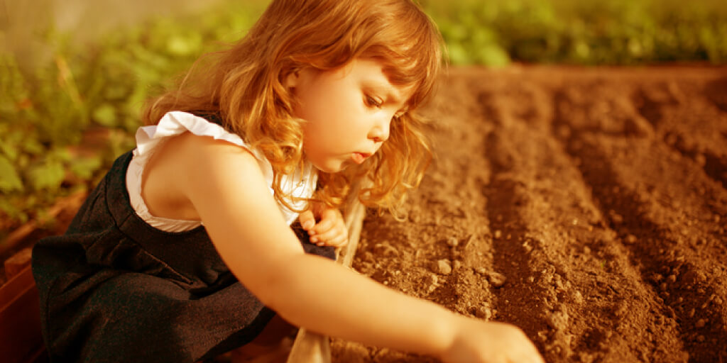 Health Benefits of a School Garden & How to Start One_Build