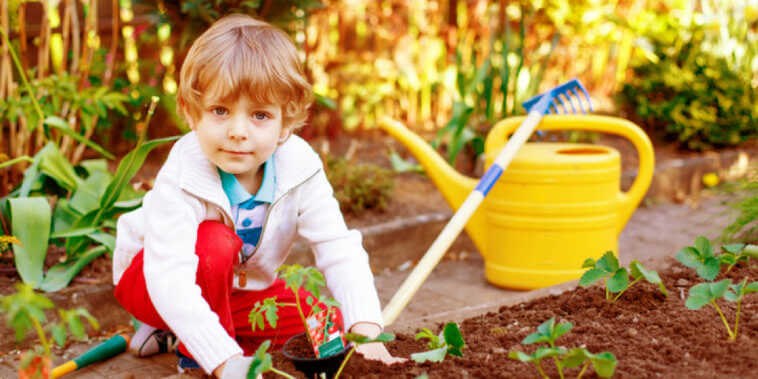 Health Benefits of a School Garden & How to Start One_Title