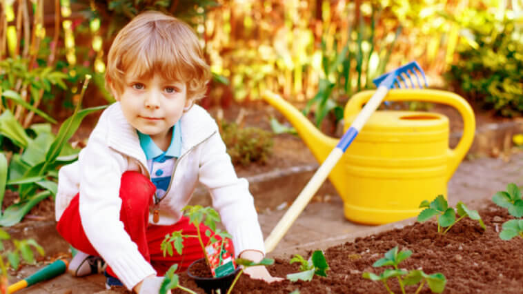 Health Benefits of a School Garden & How to Start One_Title