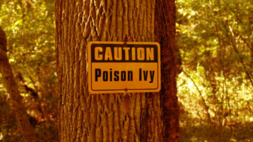 The Best All-Natural Poison Ivy Home Remedies_Title_