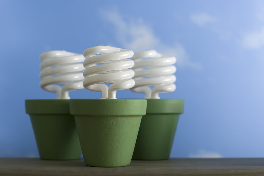 Cut energy costs potted light bulbs