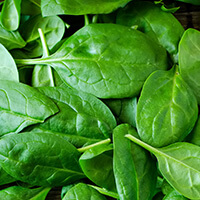 superfood greens juice spinach leaf