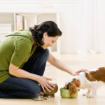Best Dog Food woman feeding pet