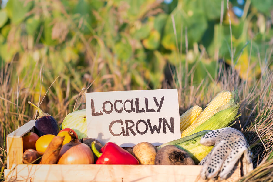 Locally Grown Produce No GMO Food