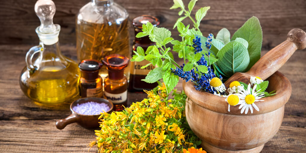 What Herbs Promote Healing