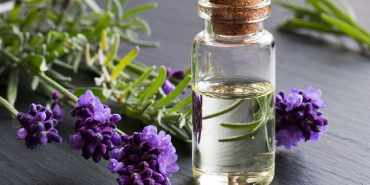 Lavender Oil Benefits