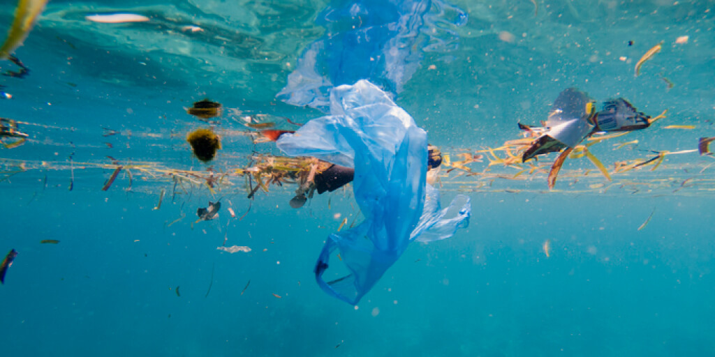 Plastic Pollution