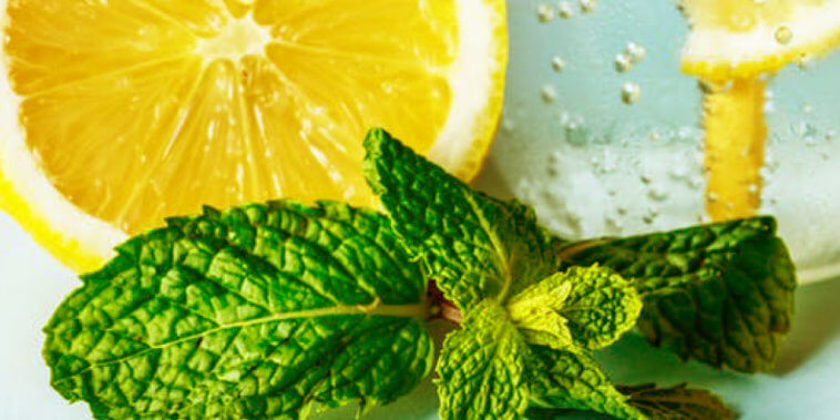 How to Enjoy Awesome Lemon Balm Benefits_Title