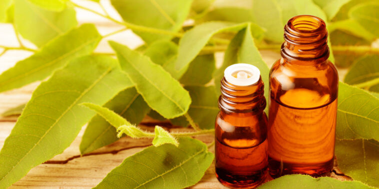 Top 7 Eucalyptus Oil Benefits and Uses_Title