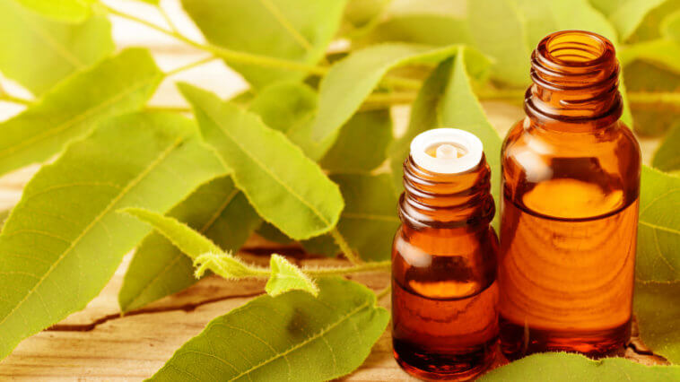 Top 7 Eucalyptus Oil Benefits and Uses_Title