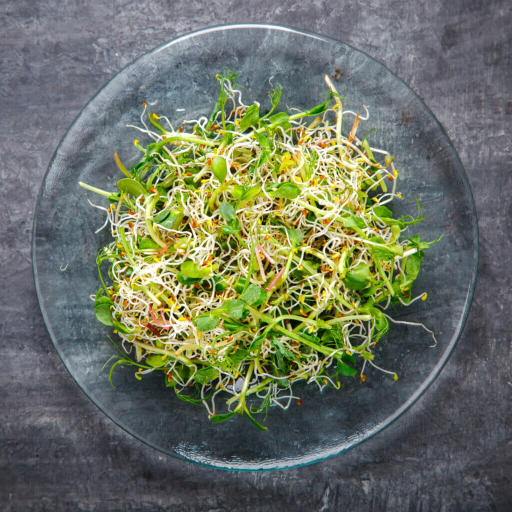 Salads with Microgreens