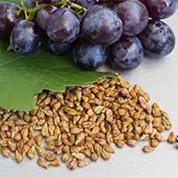 Cortexi Review Ingredients Grape Seed