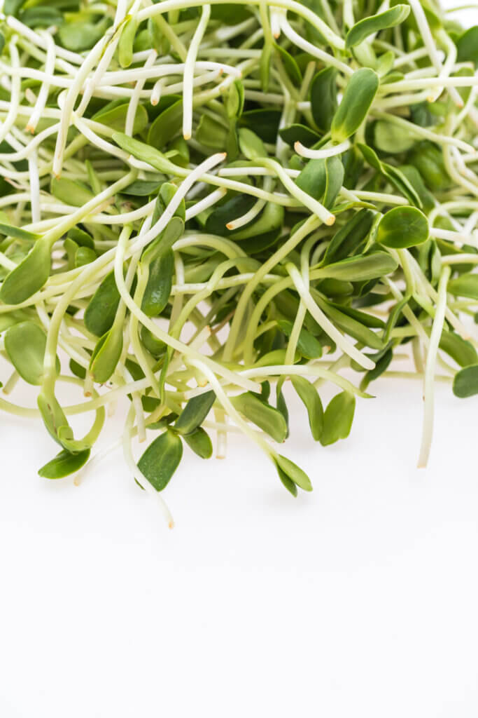 https://www.npr.org/sections/thesalt/2012/08/29/160274163/introducing-microgreens-younger-and-maybe-more-nutritious-vegetables